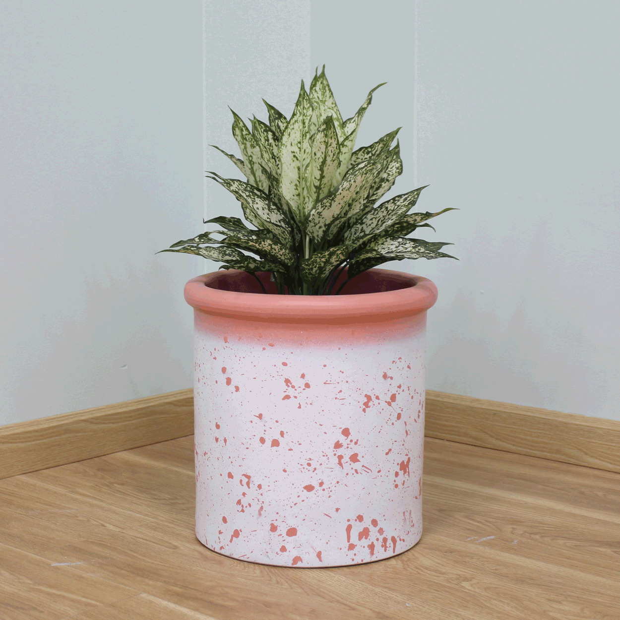  Petal Patterned Fibercement Planter | AUFC076 