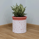  Petal Patterned Fibercement Planter | AUFC076 
