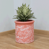  Petal Patterned Fibercement Planter | AUFC076 