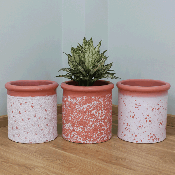 Petal Patterned Fibercement Planter AUFC076 - 2