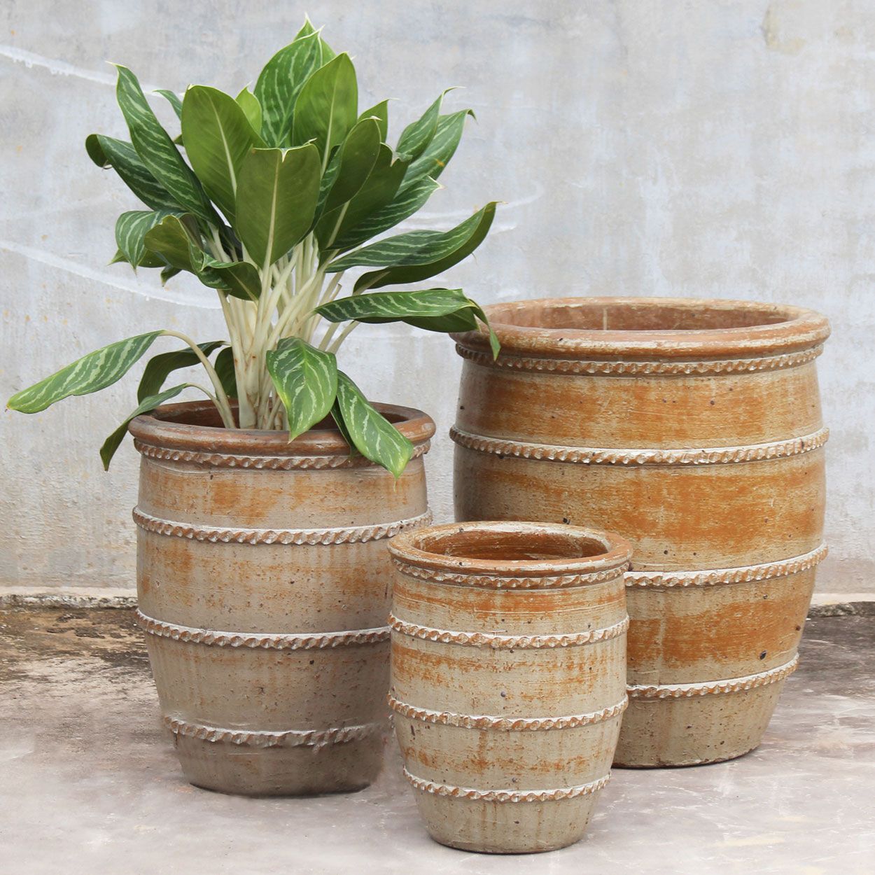  Ribbed Ceramic Planter | AUP030 