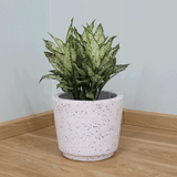  Rough Terrazzo White Fibercement Planter | AUFC051 