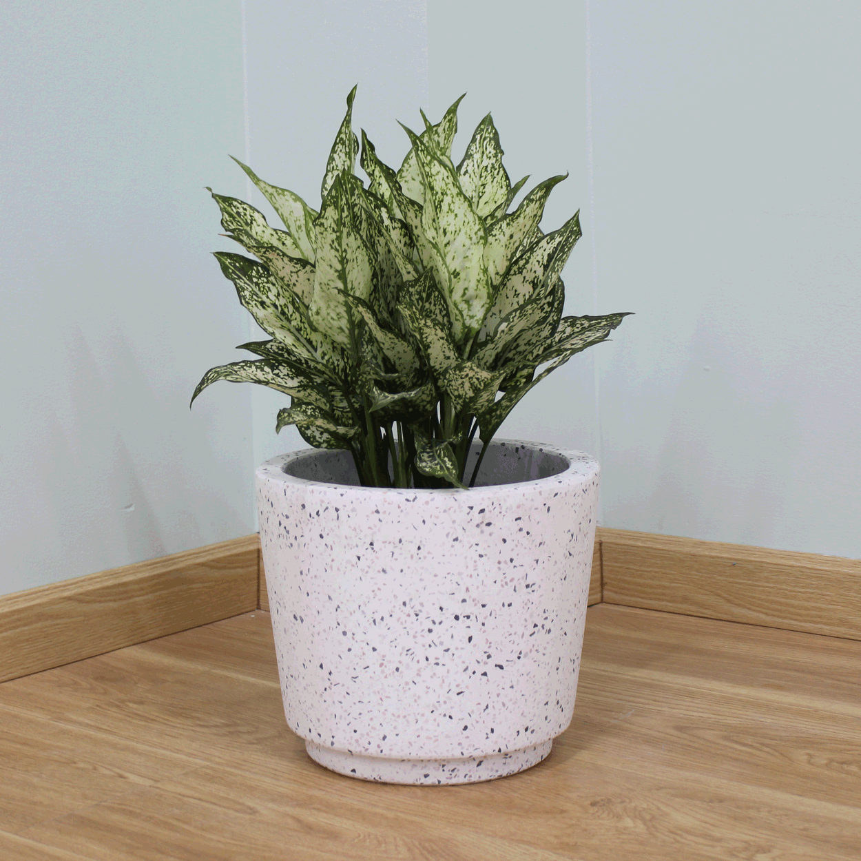  Rough Terrazzo White Fibercement Planter | AUFC051 