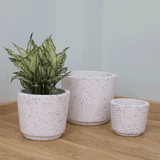  Rough Terrazzo White Fibercement Planter | AUFC051 