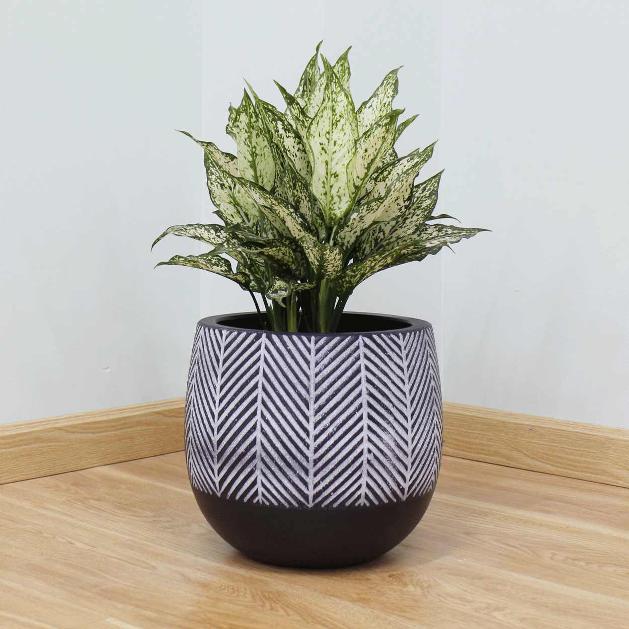  Round Egg Lightweight Concrete Pots | AUFC003 