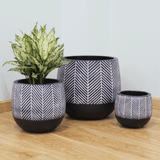  Round Egg Lightweight Concrete Pots | AUFC003 