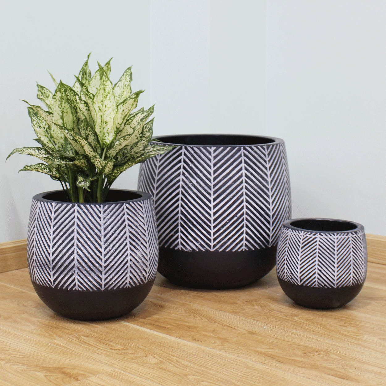  Round Egg Lightweight Concrete Pots | AUFC003 