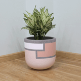  Round Egg Painted Fibercement Planter | AUFC018 