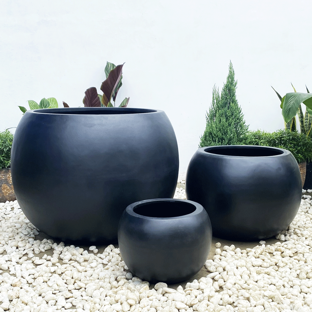  Round Egg Pots Planter | AUFS009 