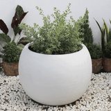  Round Egg Pots Planter | AUFS009 