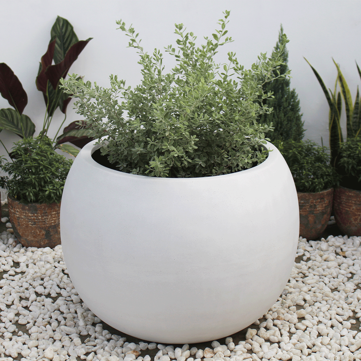  Round Egg Pots Planter | AUFS009 