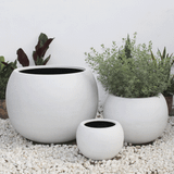  Round Egg Pots Planter | AUFS009 