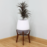  Round Egg Pots Planter With Wood Stand | AUFS111 