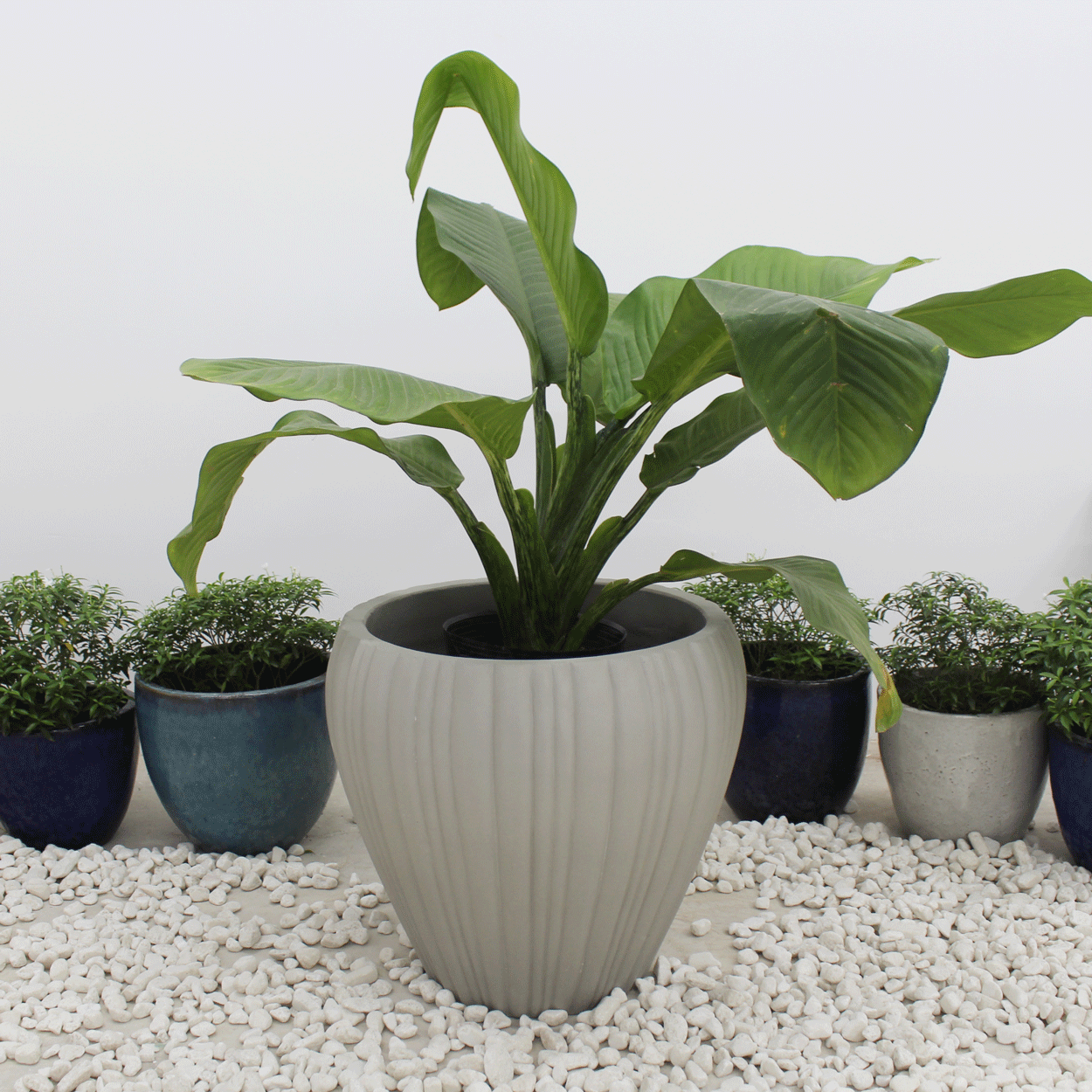  Round Ribbed Fibercement Planter | AUFC006 