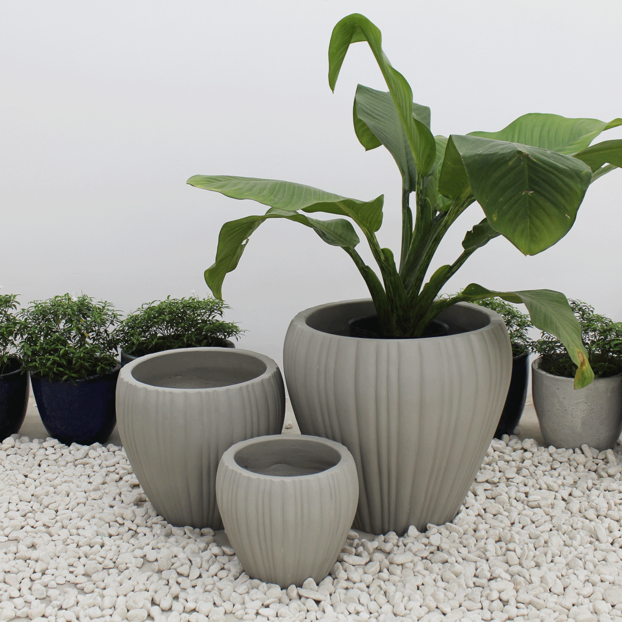  Round Ribbed Fibercement Planter | AUFC006 
