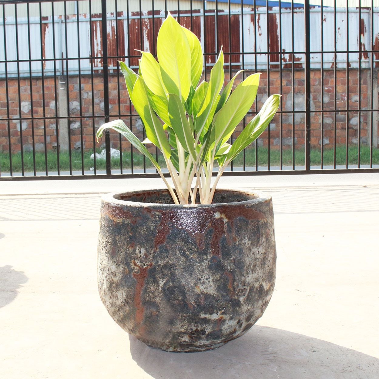  Rustic Ceramic Planter | AUV015 