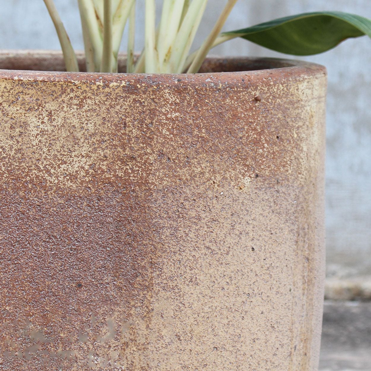  Rustic Earth Tone Ceramic Planter | AUP021 