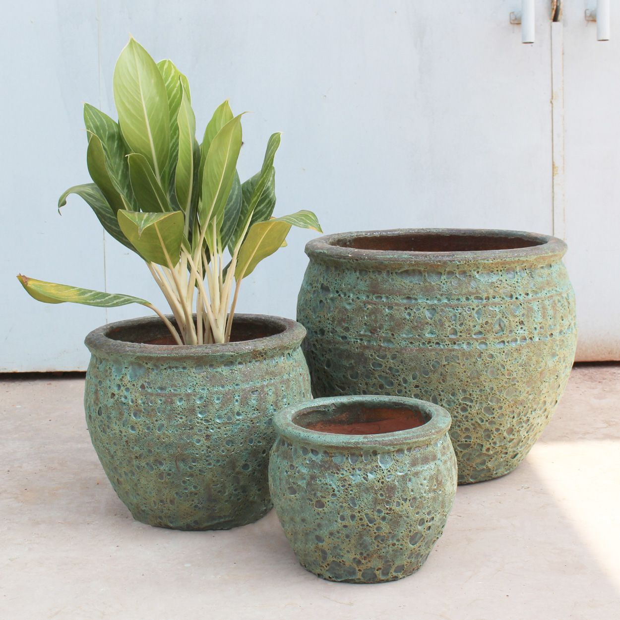  Rustic Glazed Ceramic Planter | AUP027 