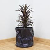  Sleek Black Trash Bins Pots Planter | AUFS097 