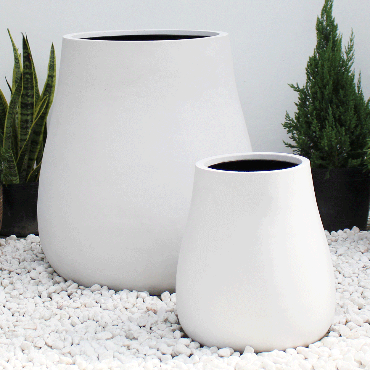  Squash Pots Planter | AUFS015 