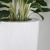  Tall Round Pots Planter | AUFS046 