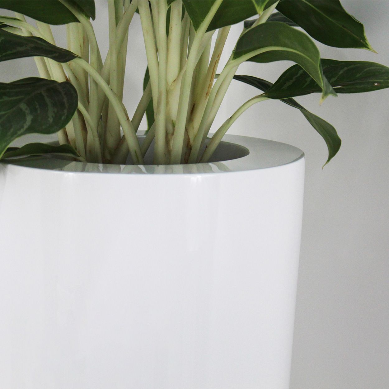  Tall Round Pots Planter | AUFS046 