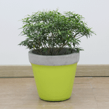  Tapered Lightweight Concrete Planter | AUFC015 