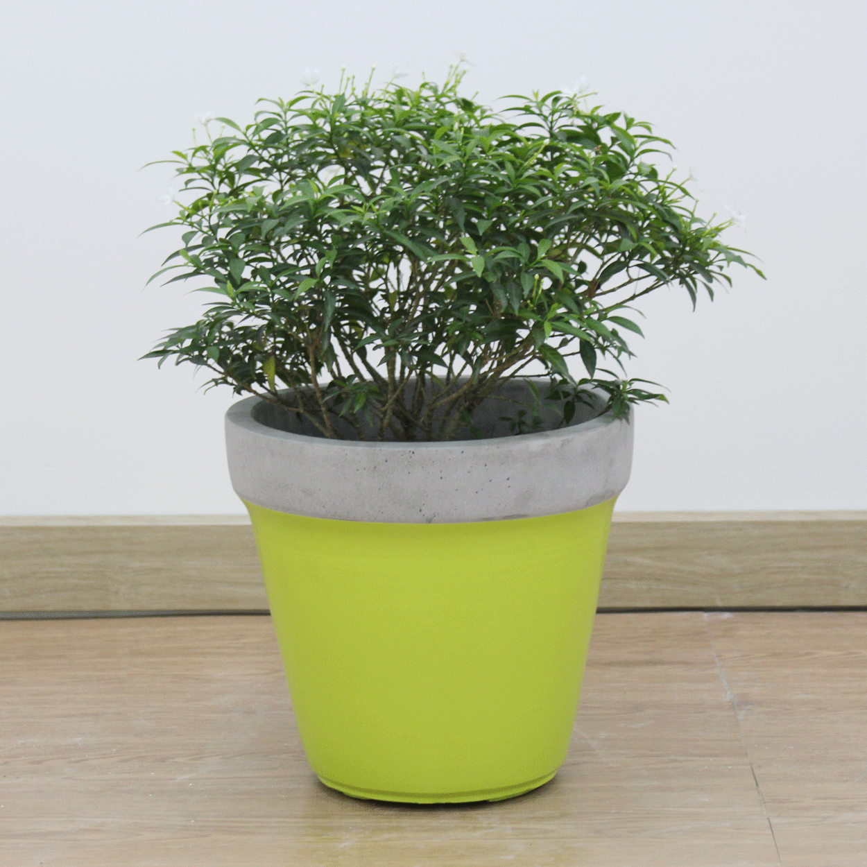  Tapered Lightweight Concrete Planter | AUFC015 