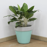 Tapered Lightweight Concrete Planter | AUFC015 