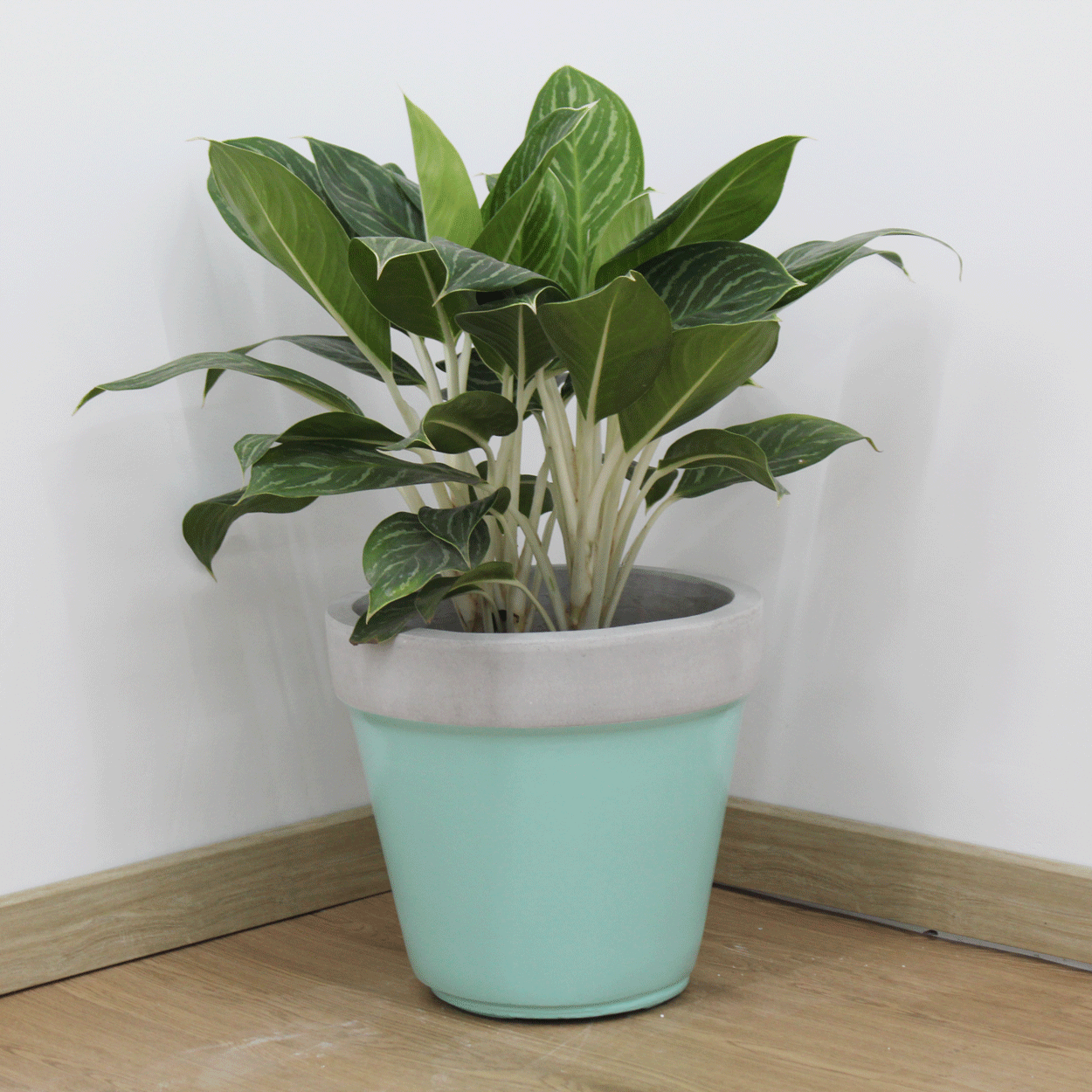  Tapered Lightweight Concrete Planter | AUFC015 