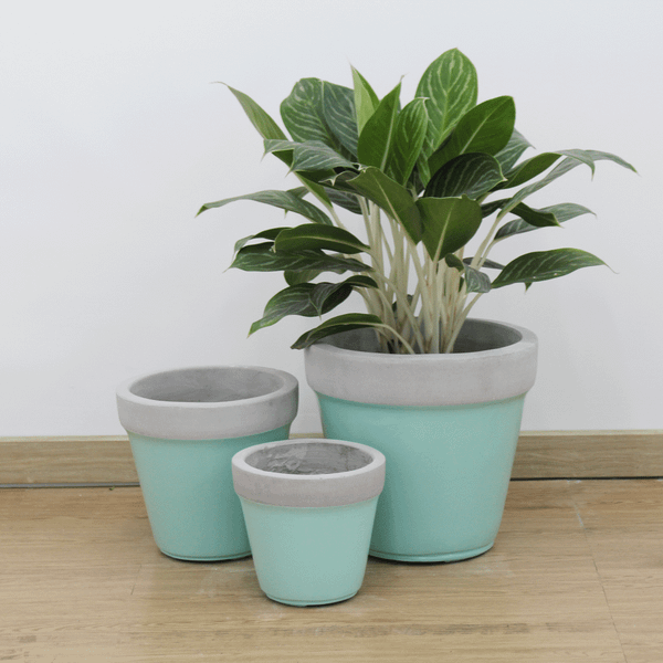 Tapered Lightweight Concrete Planter | AUFC015 - 1