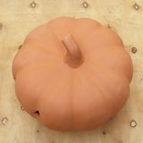  Terracotta Decorative Jack-O'-Lantern | AUT104 