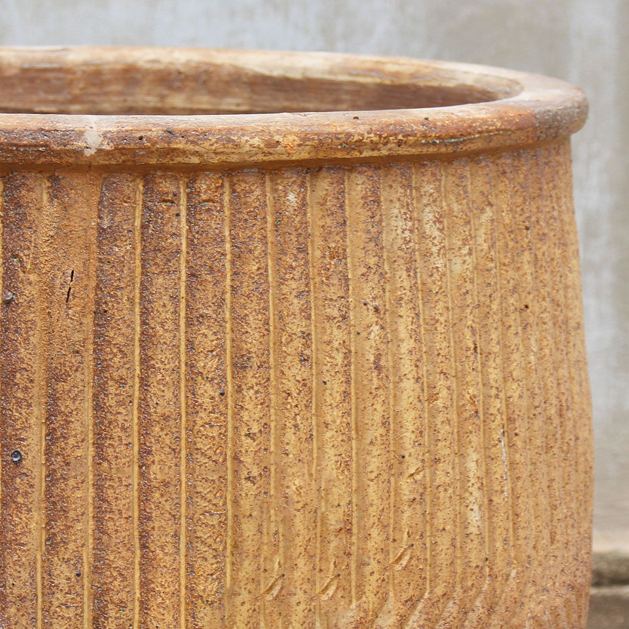  Textured Ceramic Planter | AUP029 