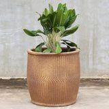  Textured Ceramic Planter | AUP029 