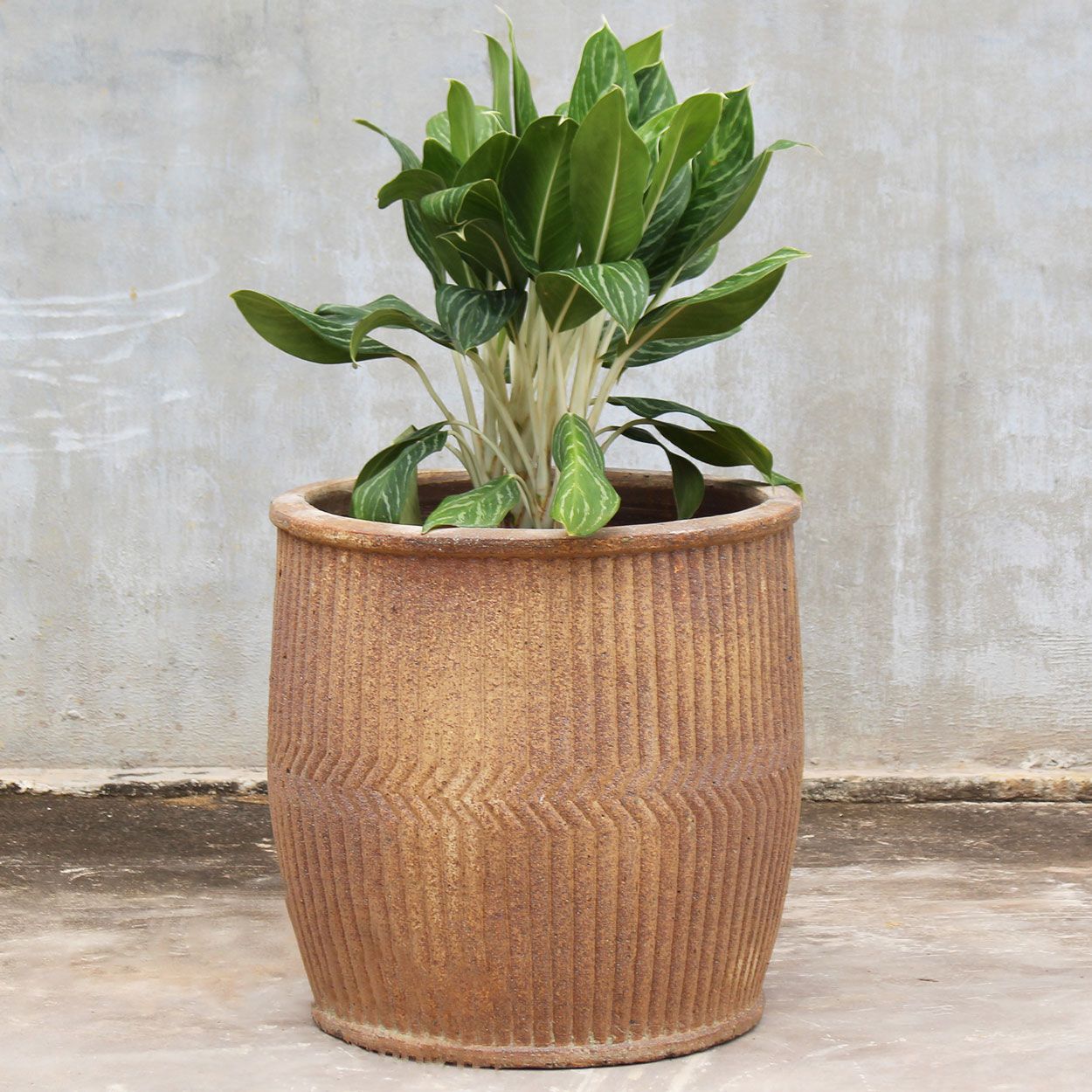  Textured Ceramic Planter | AUP029 