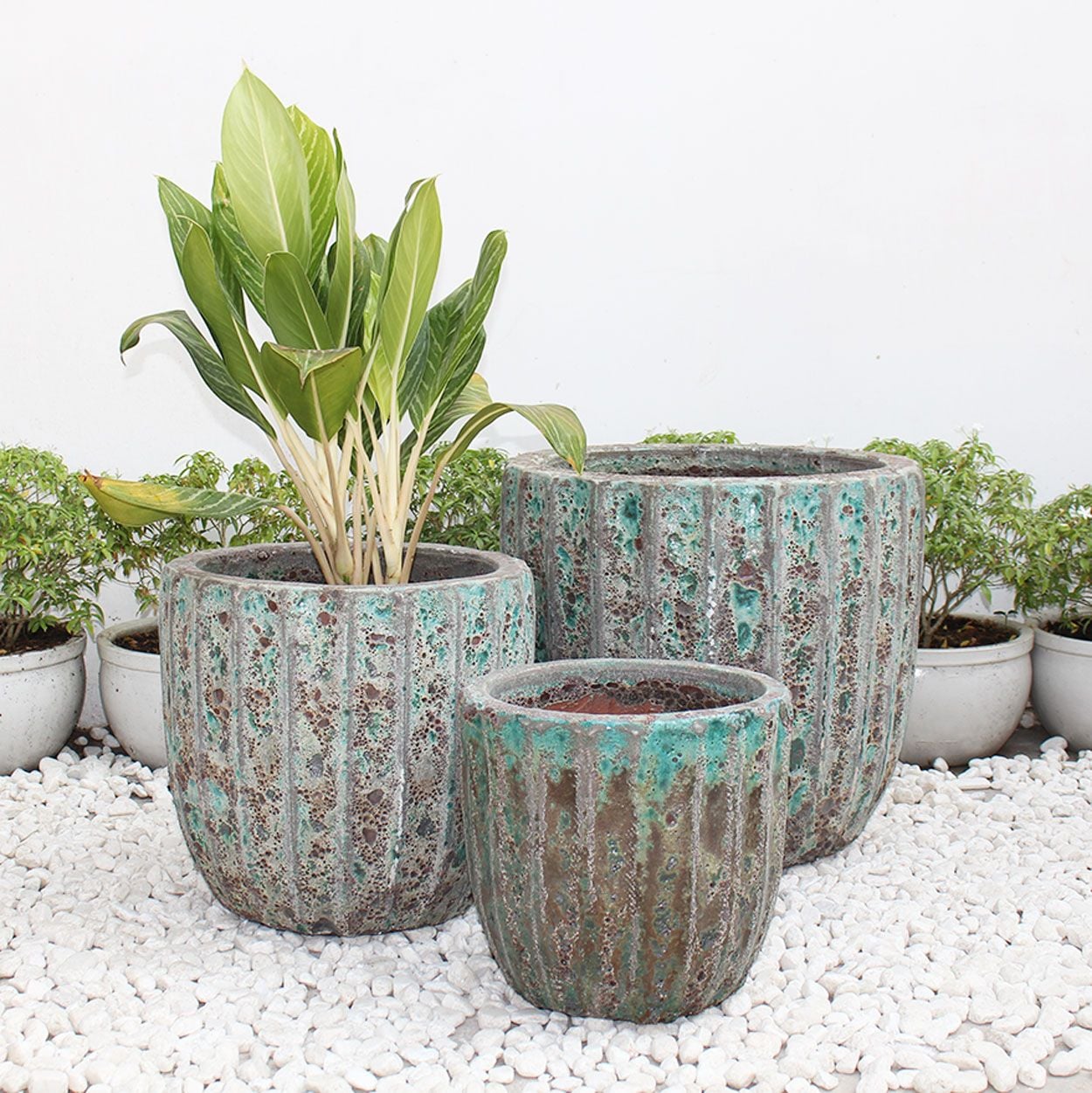  Textured Ceramic Planter | AUV014 