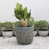  Textured Ceramic Planter | AUV014 