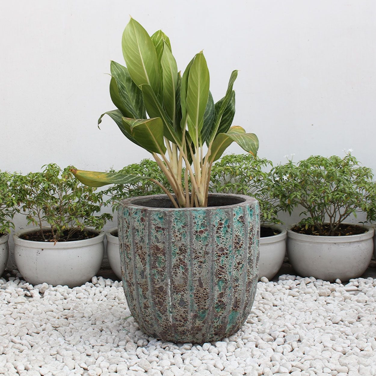  Textured Ceramic Planter | AUV014 