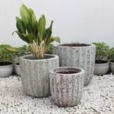  Textured Ceramic Planter | AUV014 