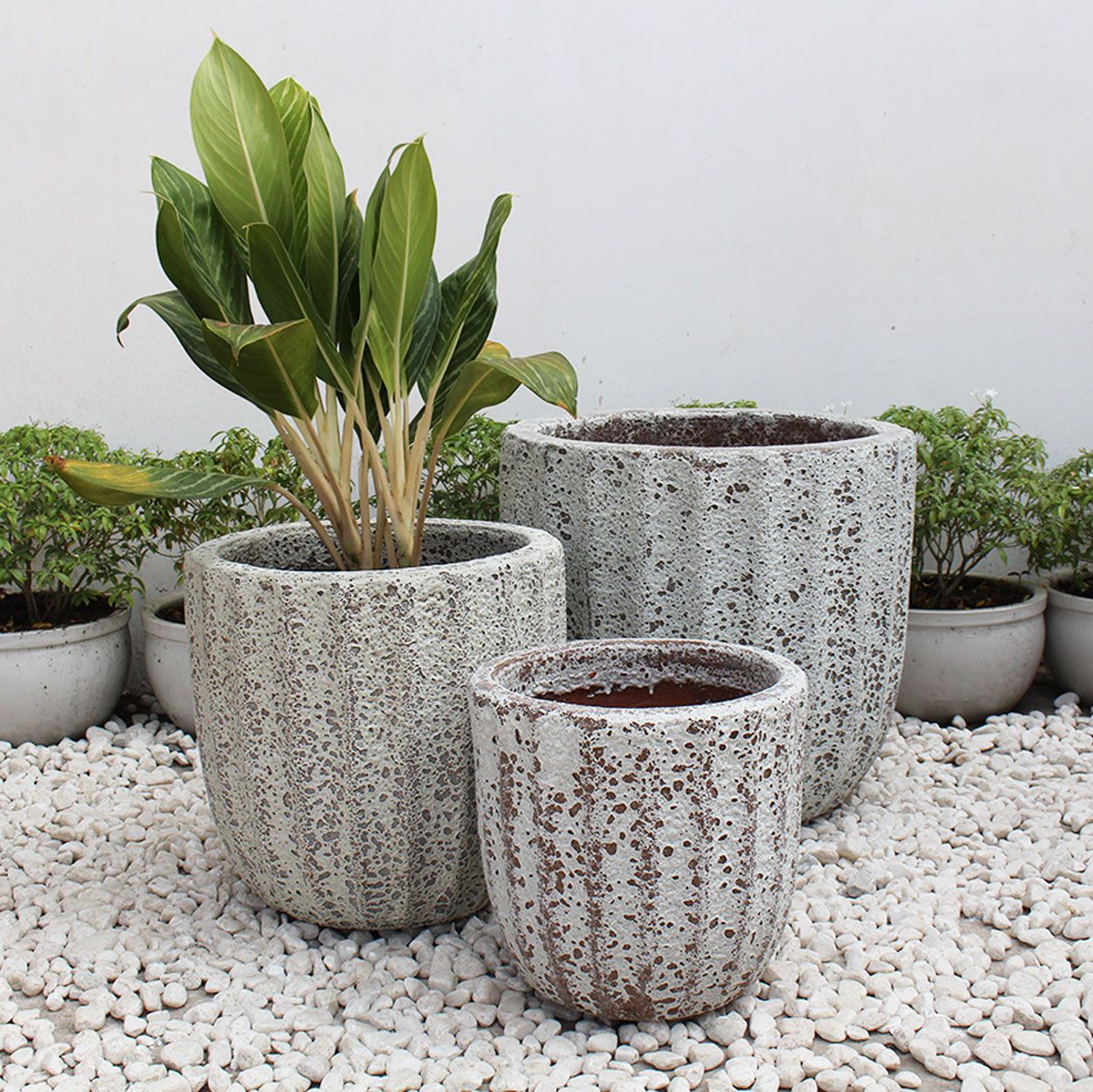  Textured Ceramic Planter | AUV014 