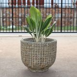  Textured Ceramic Planter | AUV068 