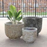  Textured Ceramic Planter | AUV068 