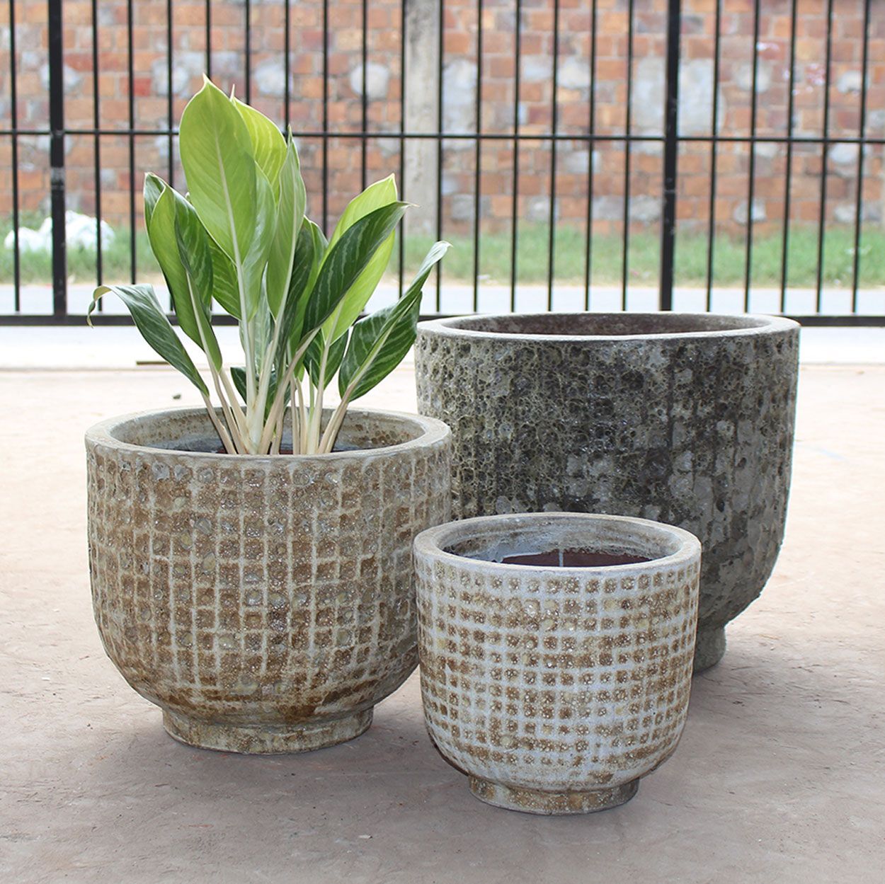  Textured Ceramic Planter | AUV068 