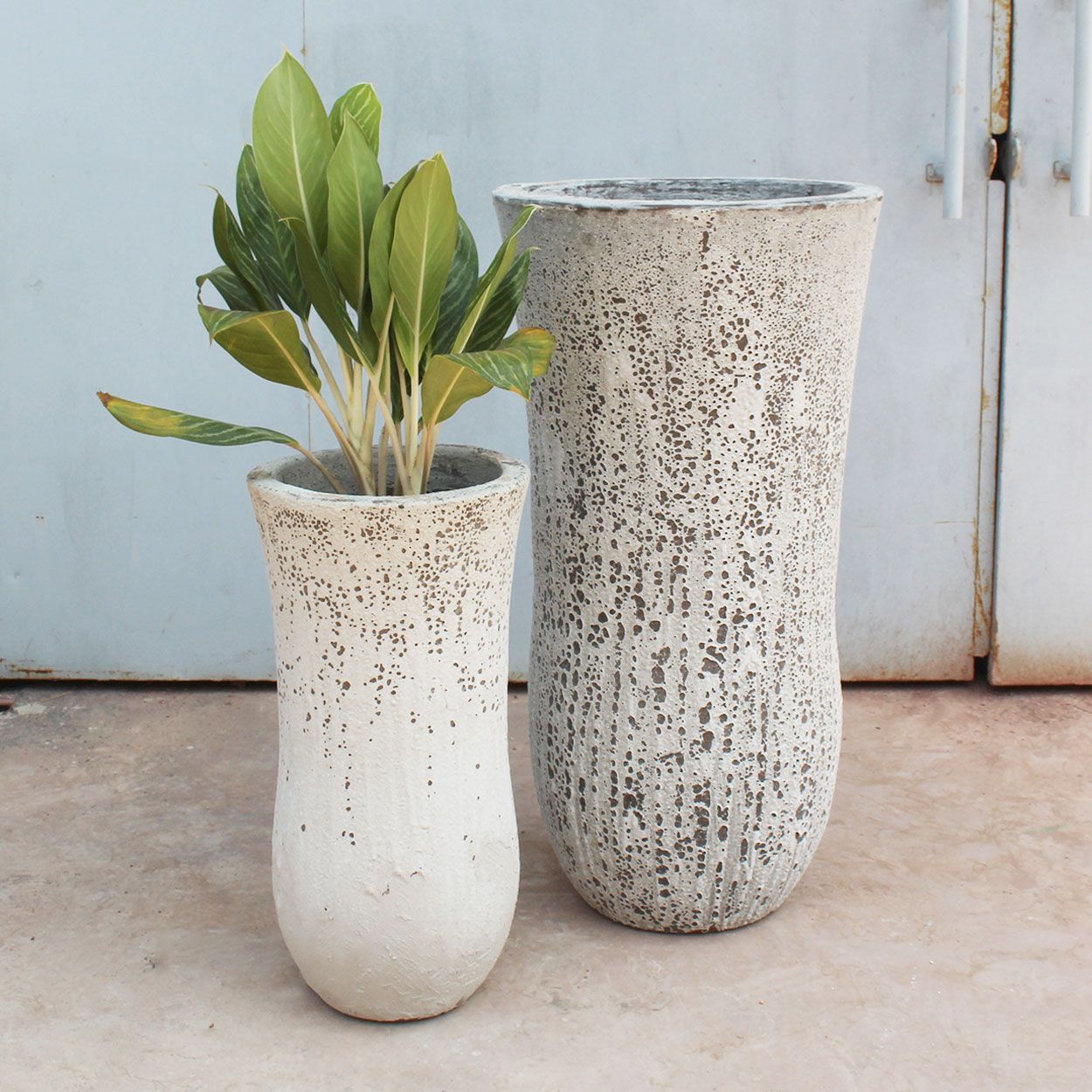  Textured Ceramic Vases | AUP034 