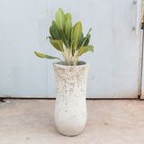  Textured Ceramic Vases | AUP034 