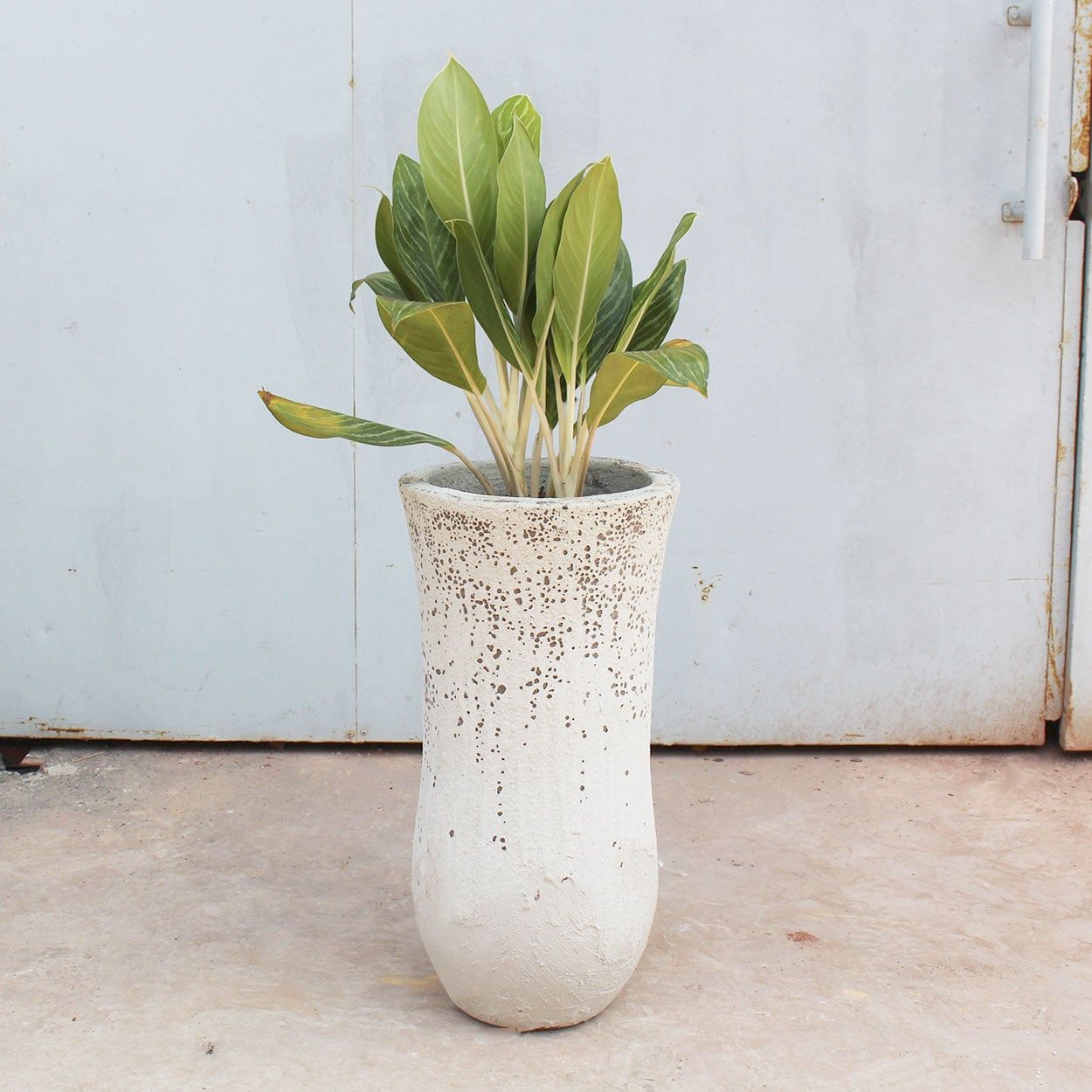  Textured Ceramic Vases | AUP034 