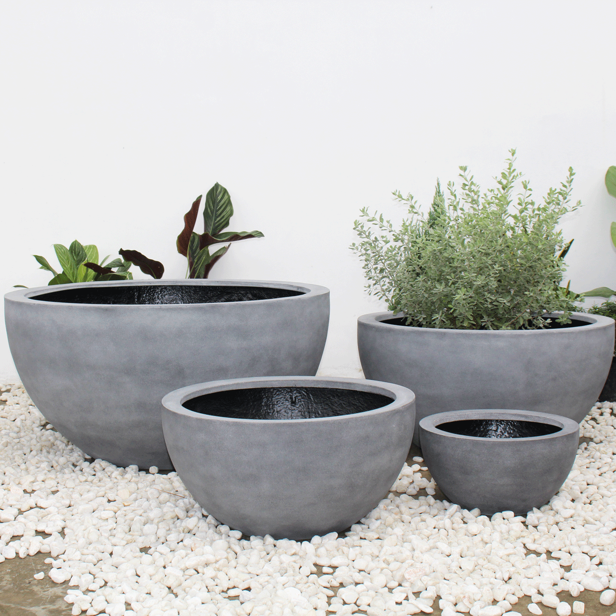 Urban Oasis Concrete Pots Planter | AUFS005 
