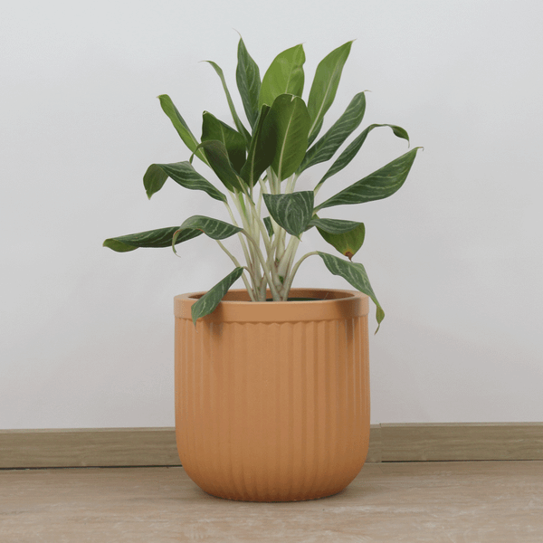 Vertical Striped Fibercement Planter | AUFC011 - 1