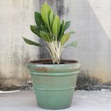  Vintage Green Ceramic Planter | AUP022 