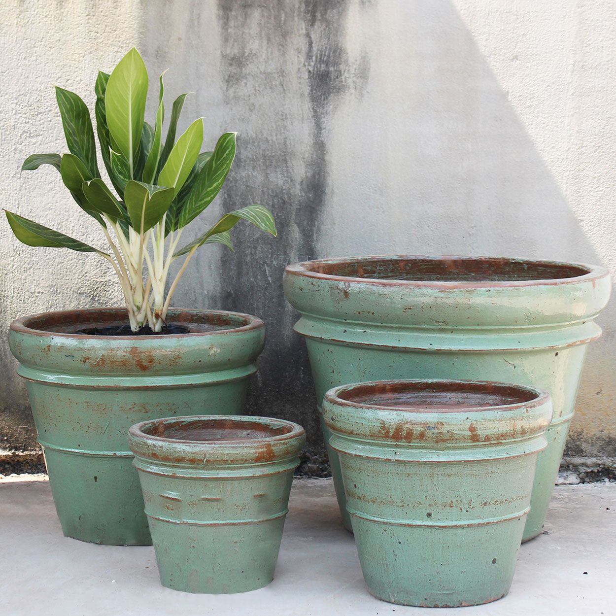  Vintage Green Ceramic Planter | AUP022 